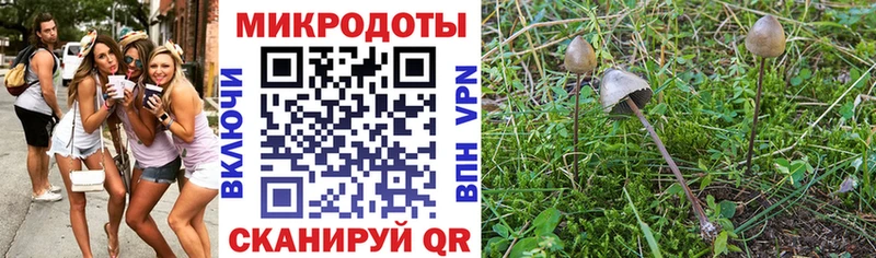 Псилоцибиновые грибы MAGIC MUSHROOMS  Разумное 